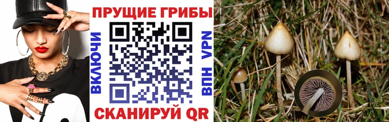 Псилоцибиновые грибы ЛСД  наркотики  Азов 